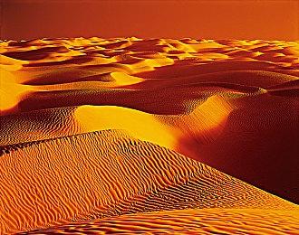 推理ADV《神秘事件：八十神熏的挑战》2025年发售